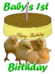 chicks gift wrap Babies first birthday