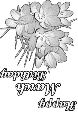 card image