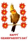 Preview image Pet Bird