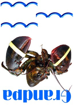 Grandpa lobster card image