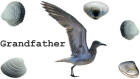 half fold version preview image