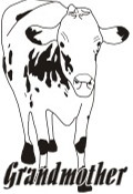 cow coloring image preview