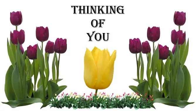 Tulips - Thinking of You card image