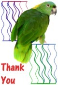 Thank You image parrot