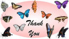 Thank You card image butterflies