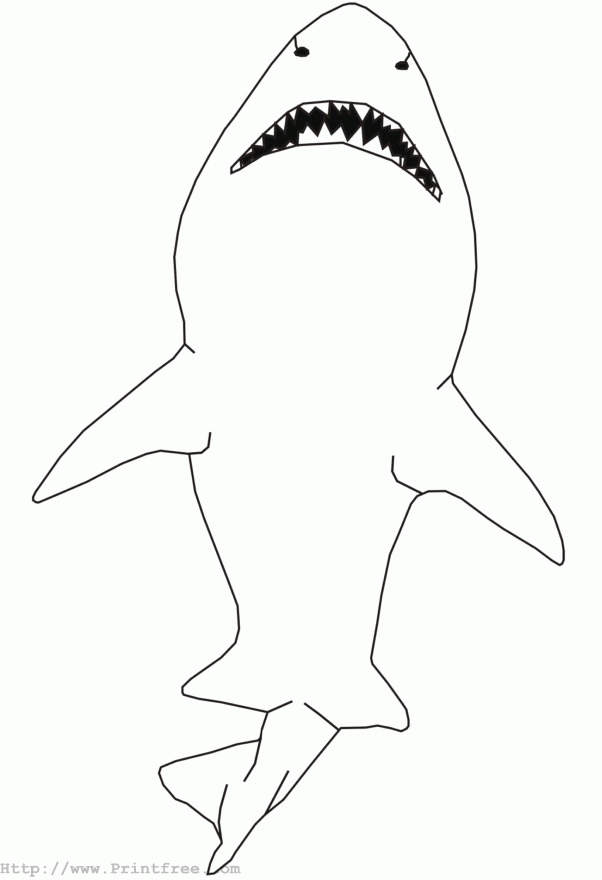 outline of shark
