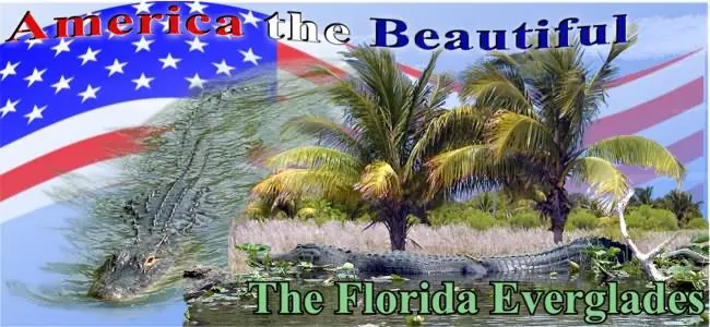 Calendar Image "Florida Everglades"