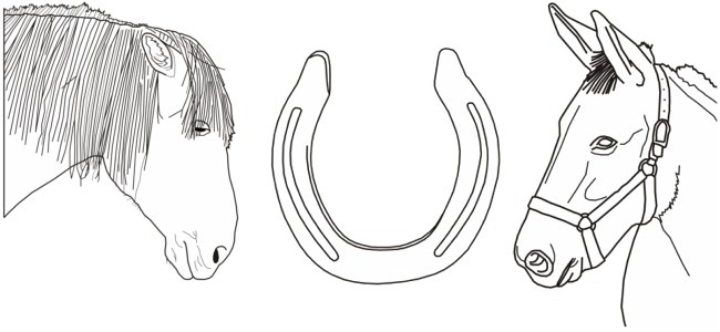 calendar image "horses"