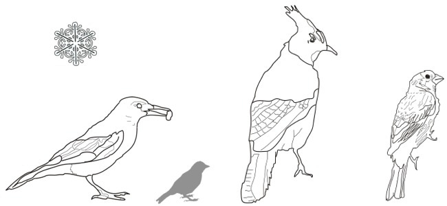 calendar image "birds" 