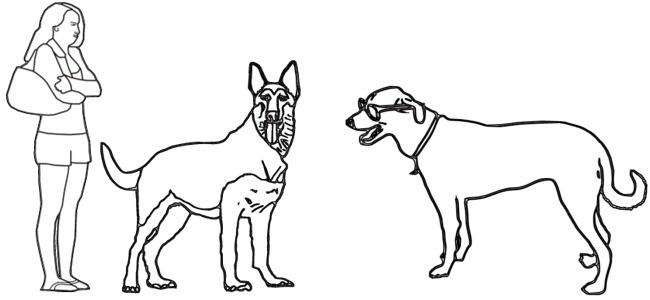 calendar image "dog walking"