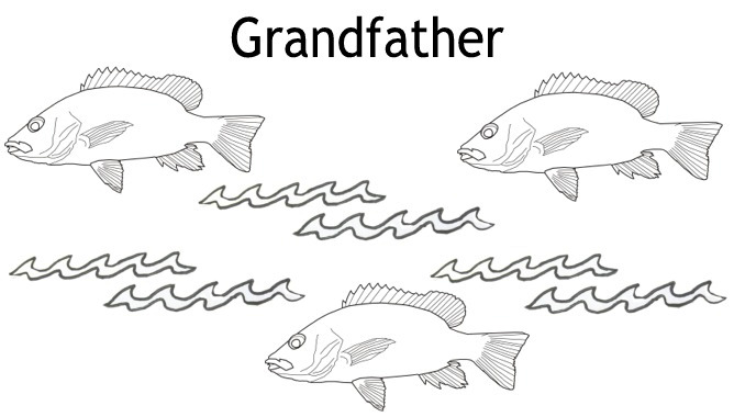 fish half fold card image