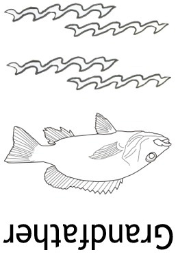 fish coloring card image