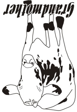 cow card image