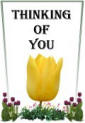 Yellow Tulip Thinking of You card