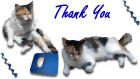 Thank You card image cat and mouse