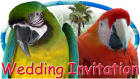 Parrot wedding card preview, invitation