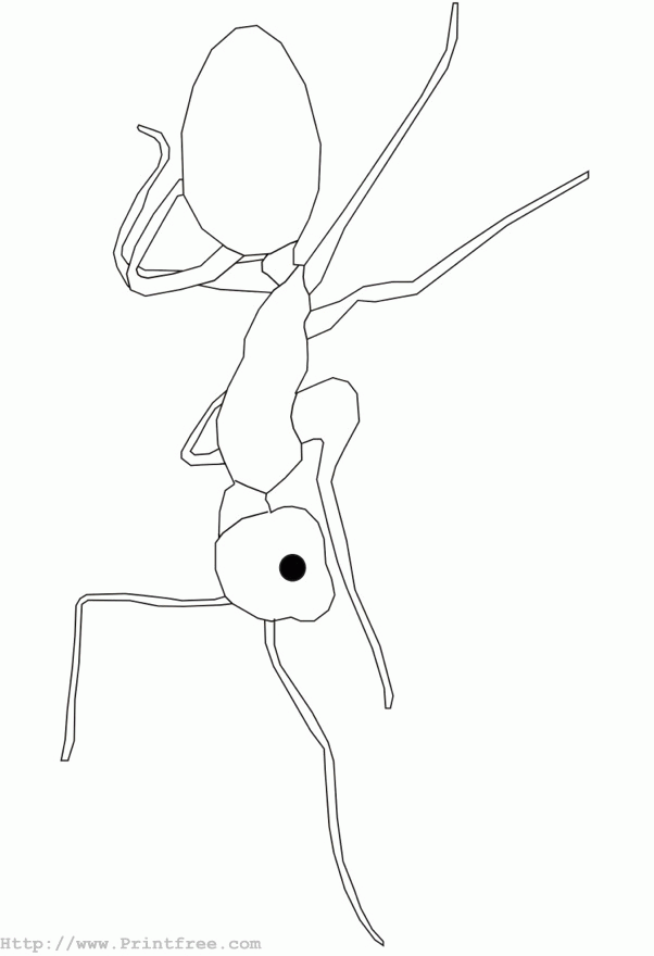 Ant outline image