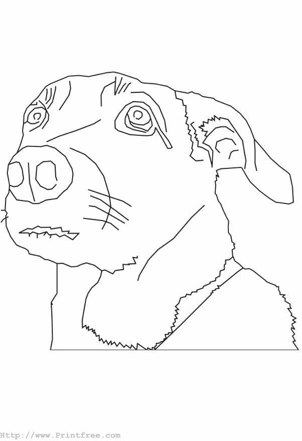 dog outline image