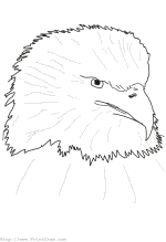 Mean Eagle
